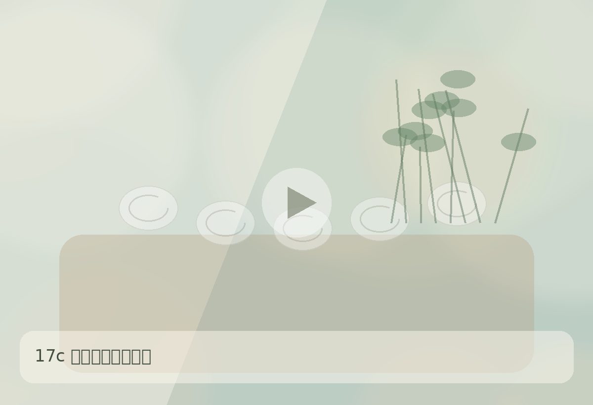 17c17c品牌季节提案生活视频场景